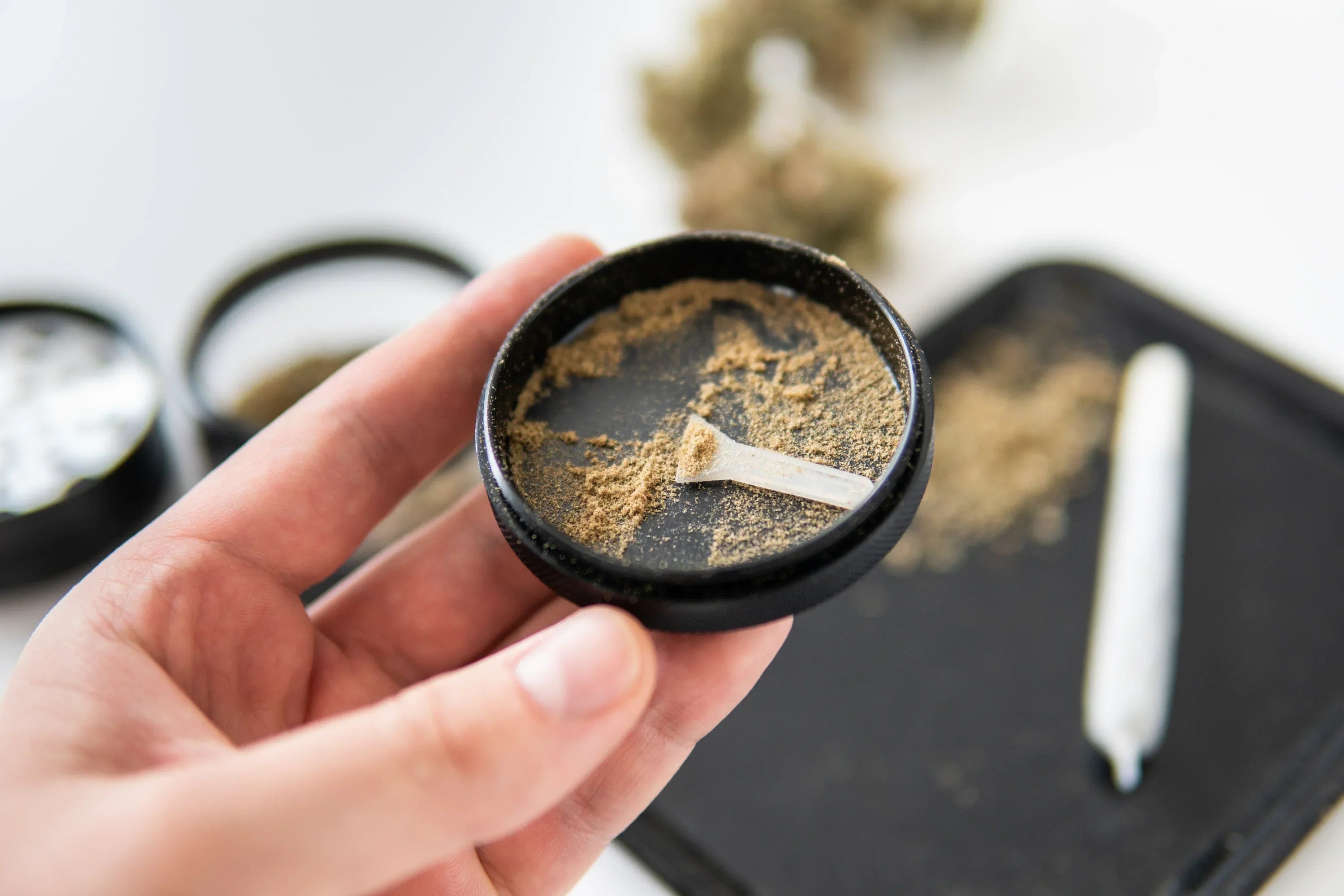Hand holds a grinder full of kief, joint rolled on a tray in the background.