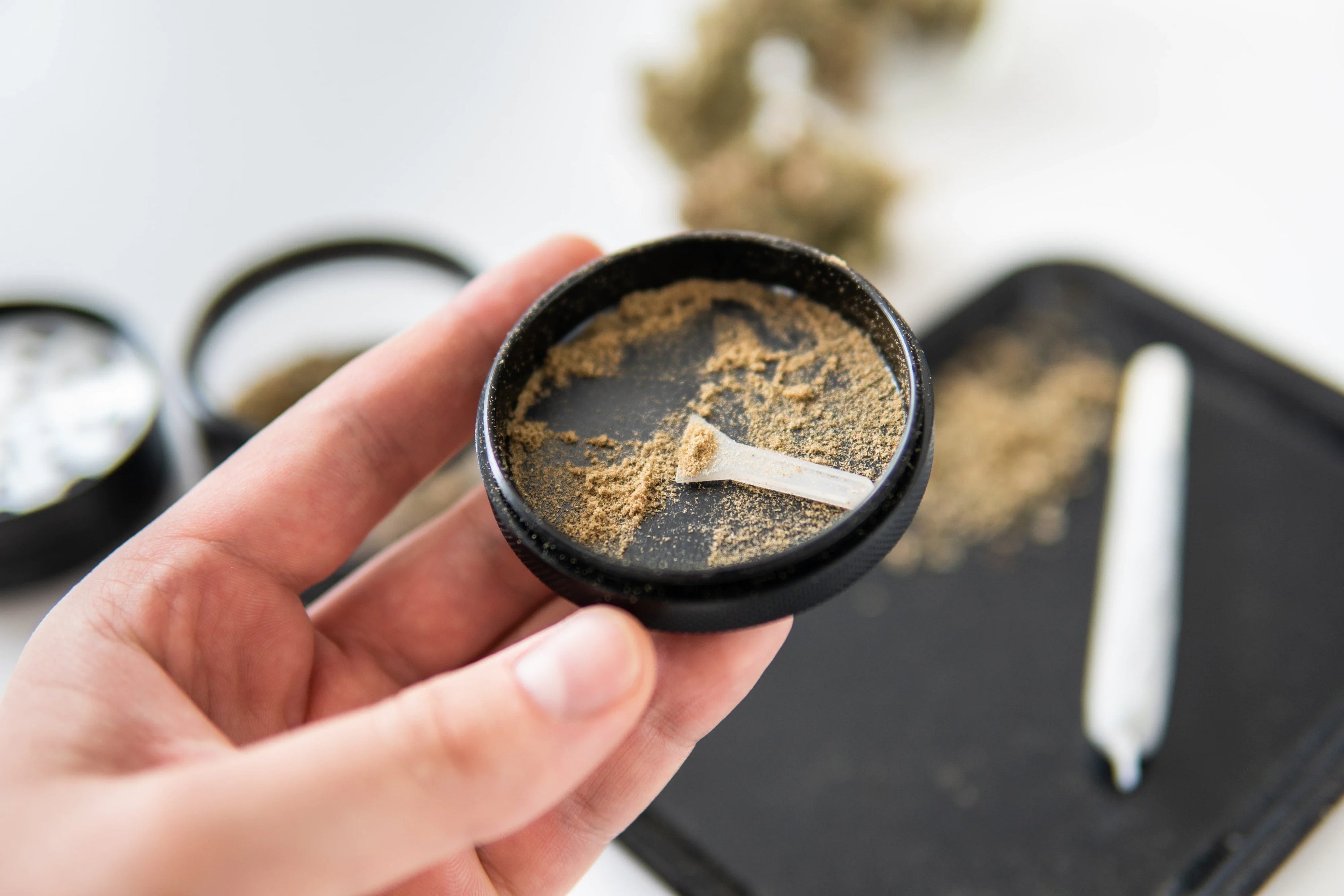 Hand holds a grinder full of kief, joint rolled on a tray in the background.