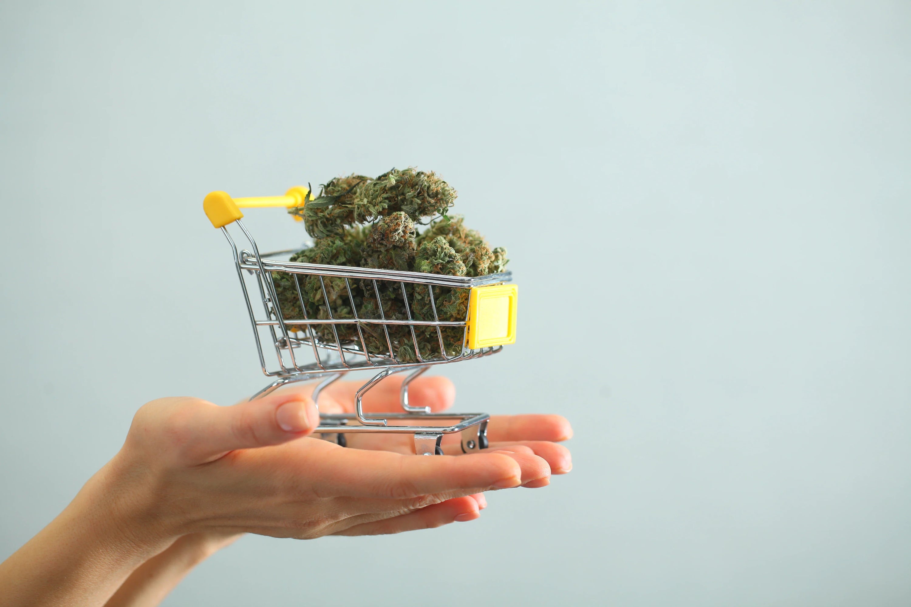 Hands hold a small grocery cart full of cannabis flower.
