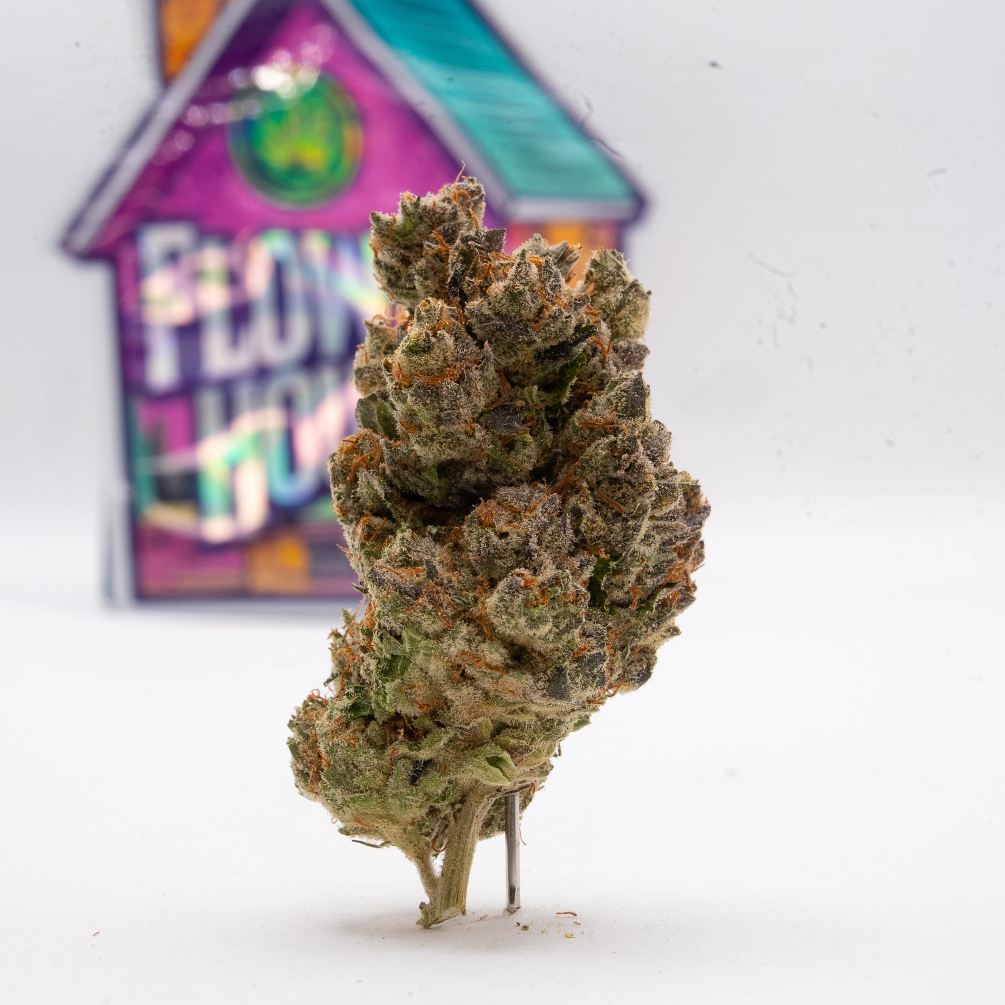 Gas Mask strain available at Flower House.