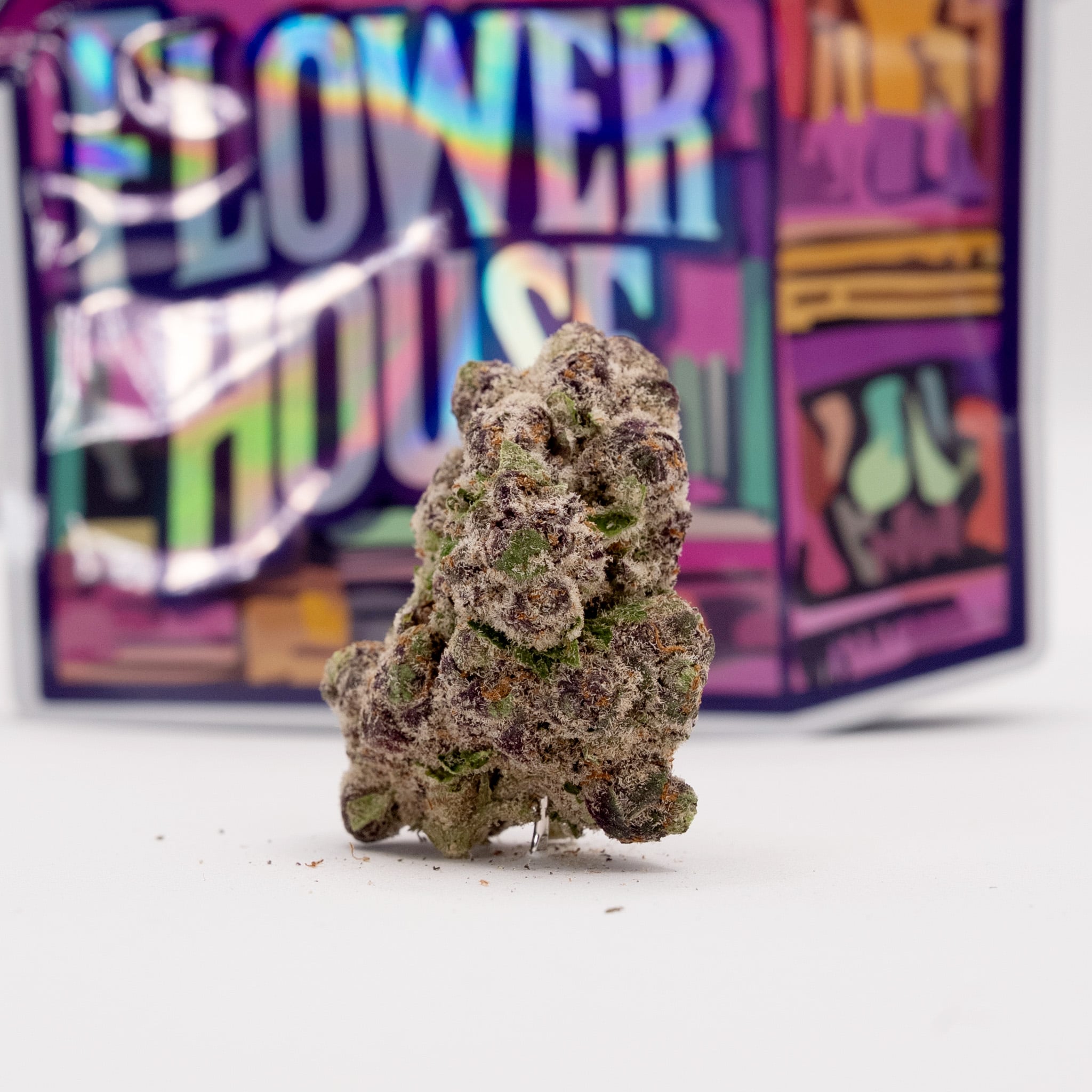 FLWR of the Month: Motorbreath